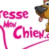 Vidéo formation Educateurs canins pour le dressage-éducation canine par dressemonchien.com